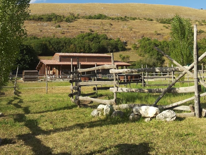 Azienda Agricola Rosa Ciarrocca