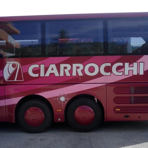 Ciarrocchi Elia & Figli (S.N.C.)