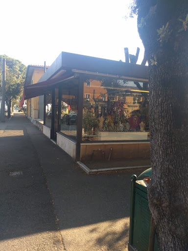 l'albero