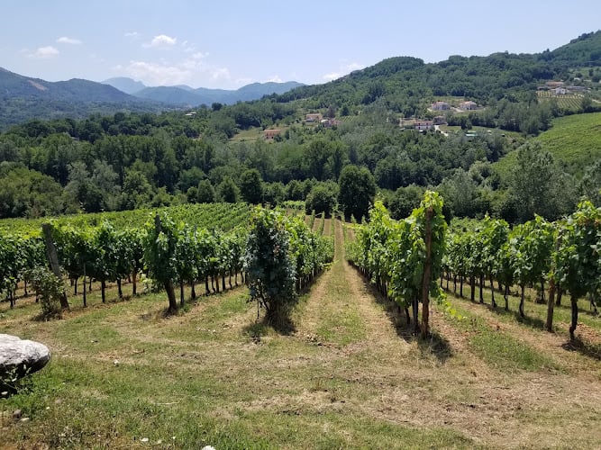 Società Agricola Donnachiara Srl