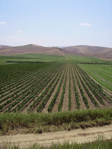 Terre di Gratia