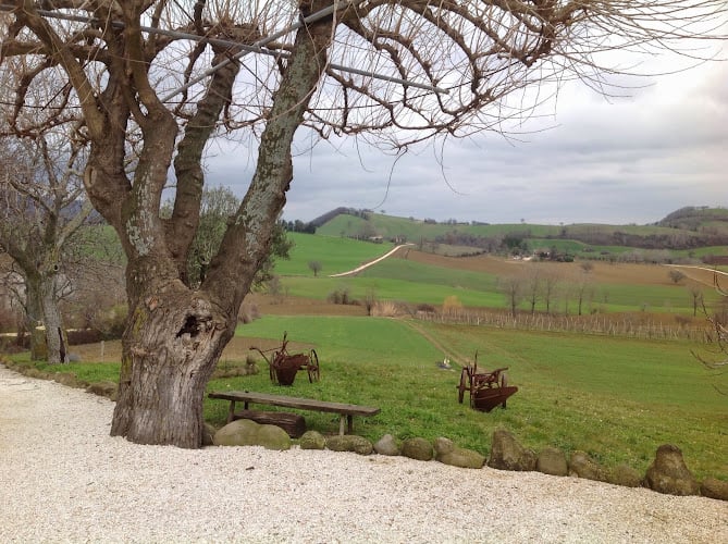 Fattoria Fucili