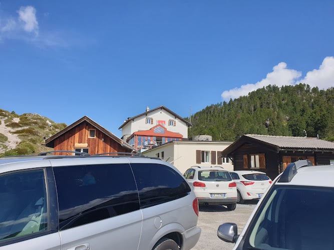 Autoservizi Silvestri