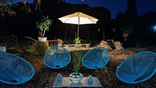 Agriturismo Podere Le Palaie