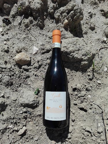 Cantina Colli Di Castelfranci Srl