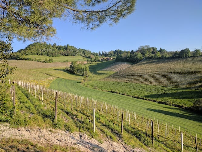 Cascina Torello