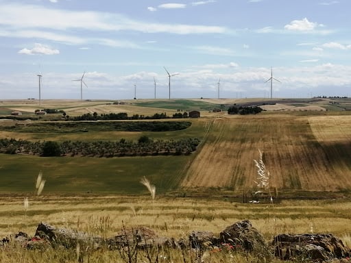 Agri Biologica delle Murge