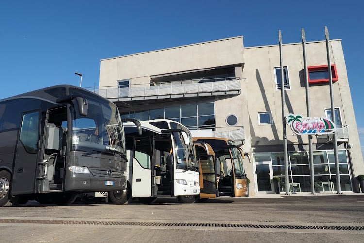 Autoservizi Casarotto Srl - Noleggio Pullman