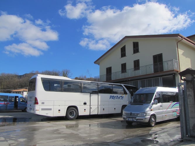 Autolinee Propato bus