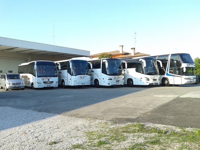 Autoservizi Pattaro Srl