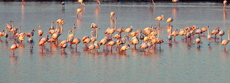 AQUA Natura e Cultura