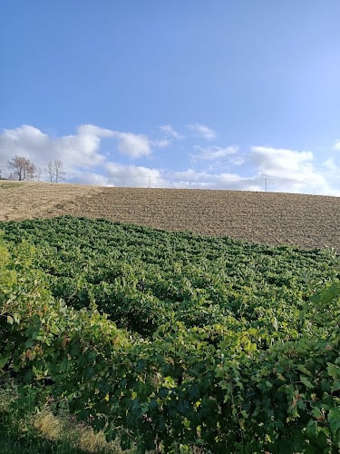 Poderi san Lazzaro