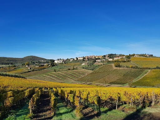 Colle Bereto Azienda Agricola