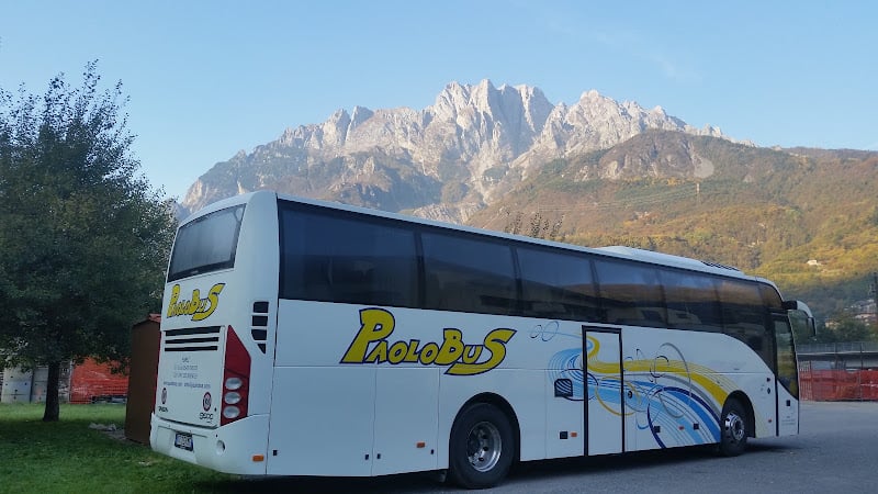 Paolo Bus Di Tonarelli & C. Snc