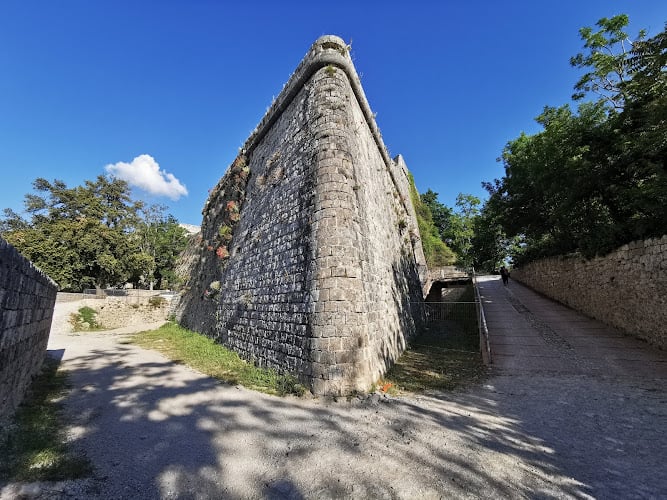 B&B La Collina degli Ulivi