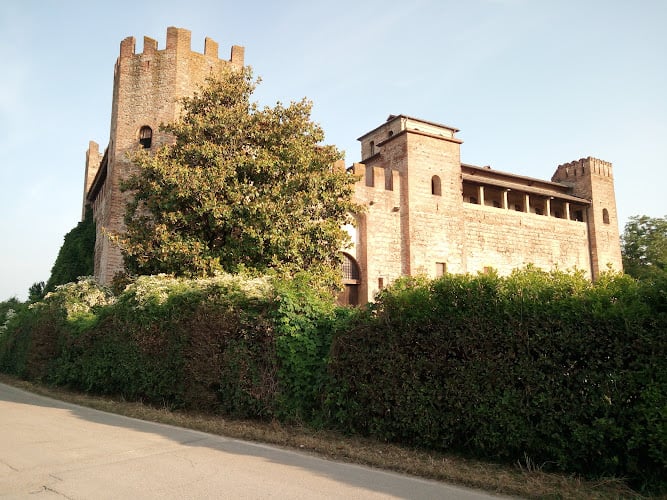 Sinigaglia Ottaviano (S.N.C.)