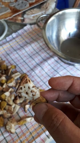 Di Biase Funghi Srl