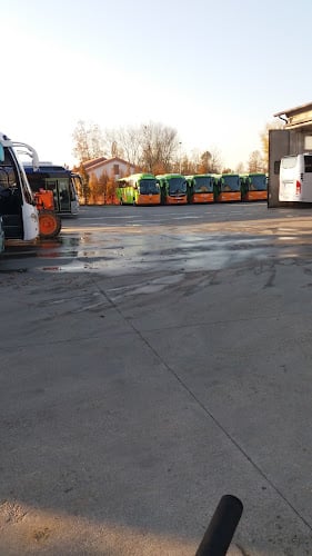 Michielotto Autoservizi