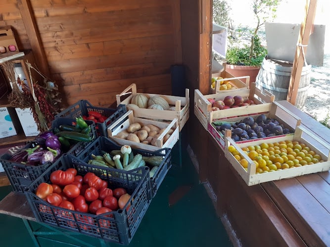 Azienda Agricola Caravaggio Donato