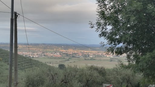 Circolo "i Fichi"