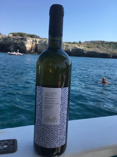 Cantina Sesì
