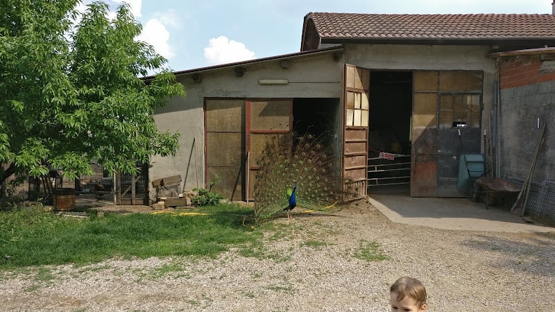 Agriturismo Tre Ponti Di Magnani Lucia