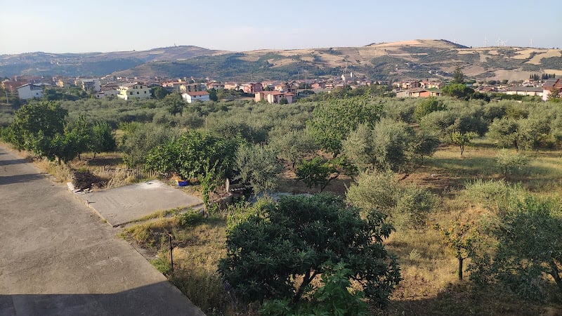 L' Amena quisisana