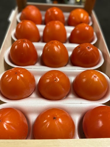 Bonfatti