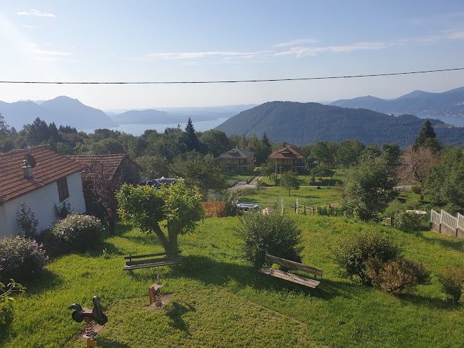 Il Glicine