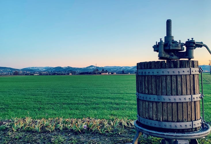 Cascina Americana - Defilippi i Gessi - Wine Shop