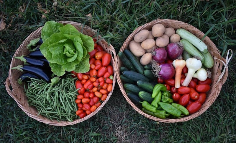 Azienda agricola Biohope