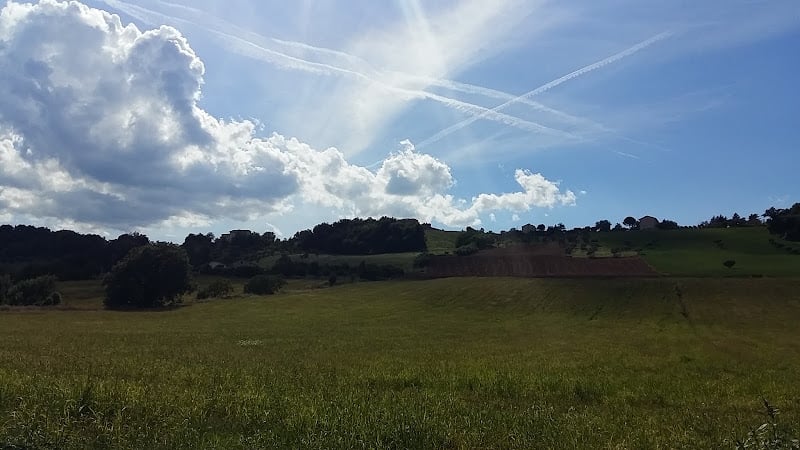 Terre di San Ginesio s.r.l.