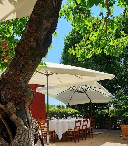 Agriturismo Al Leccio