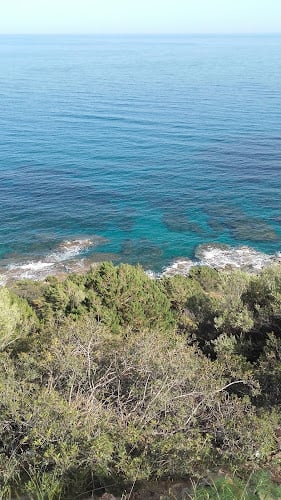 Apicoltura Piras