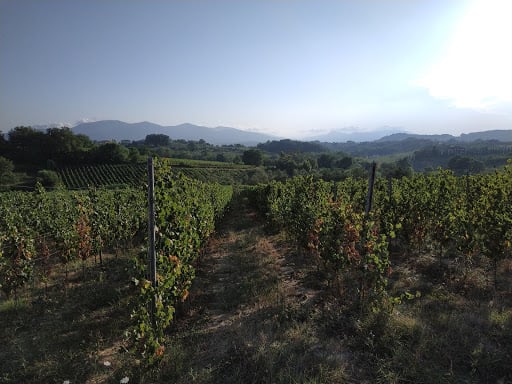 Fattoria Carmignani
