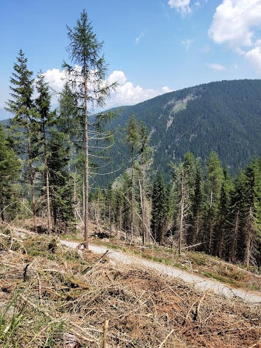 Malga Vernera Bassa