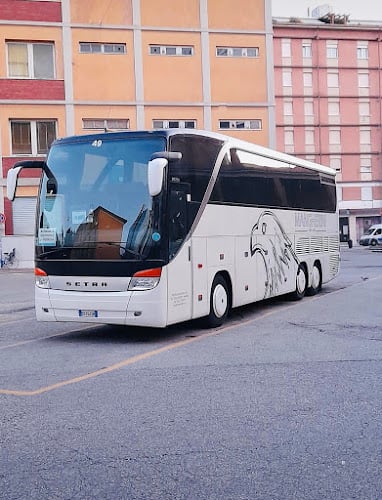 Mangherini Autoservizi SRL