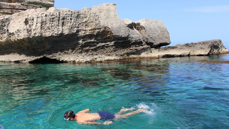 Marlove Tropea
