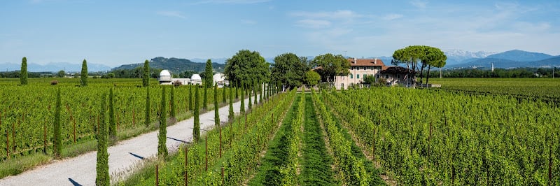 Tenuta Borgo Conventi S.R.L.