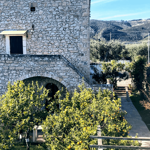 B&B Collotorto
