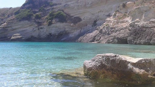 L'Antico Ulivo