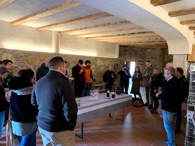Azienda Agricola Maso Furli Di Zanoni Marco