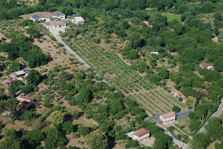Verdi Fattorie Società Agricola