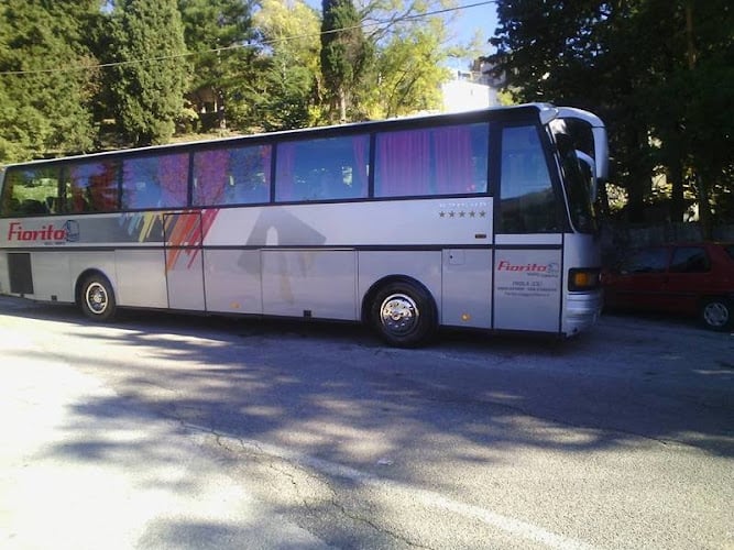 Fiorito Viaggi e Turismo