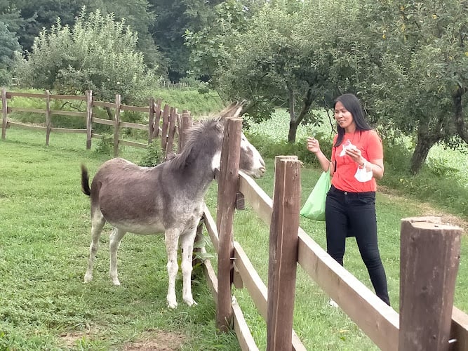 Azienda Agricola l'Agrifoglio