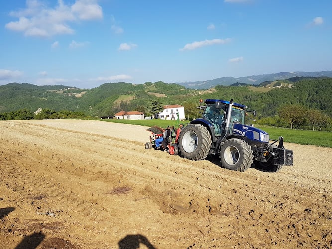 Azienda Agricola Visconti Diego