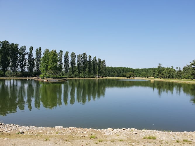 Azienda Agricola Scalvino Fiorenzo
