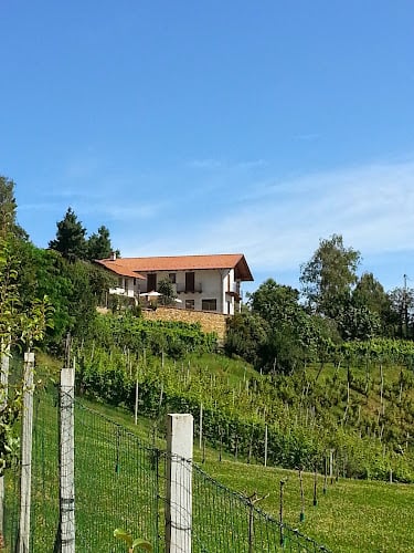 Agriturismo la Pineta