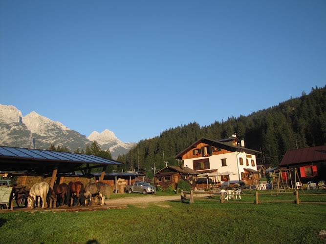 Agriturismo Corte's Ranch