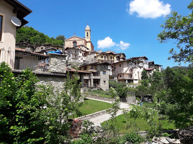 Azienda Agricola Basso Domenica